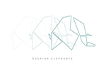 Rushing Elephants